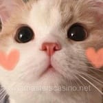 Avatar de Daniela Solís